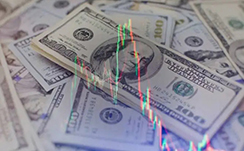 金价高位震荡，熊猫金币价格继续上涨